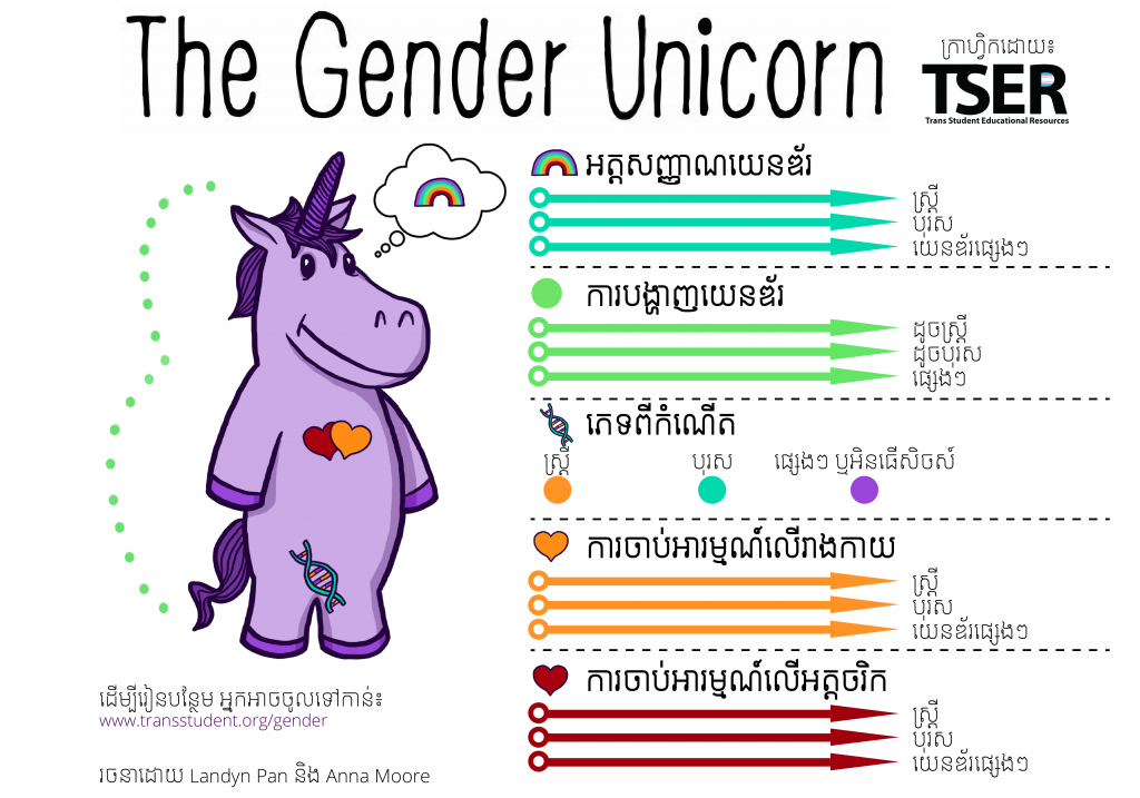 Gender Unicorn Tser